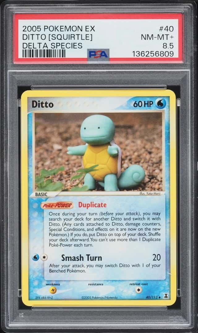 Ditto [Squirtle]