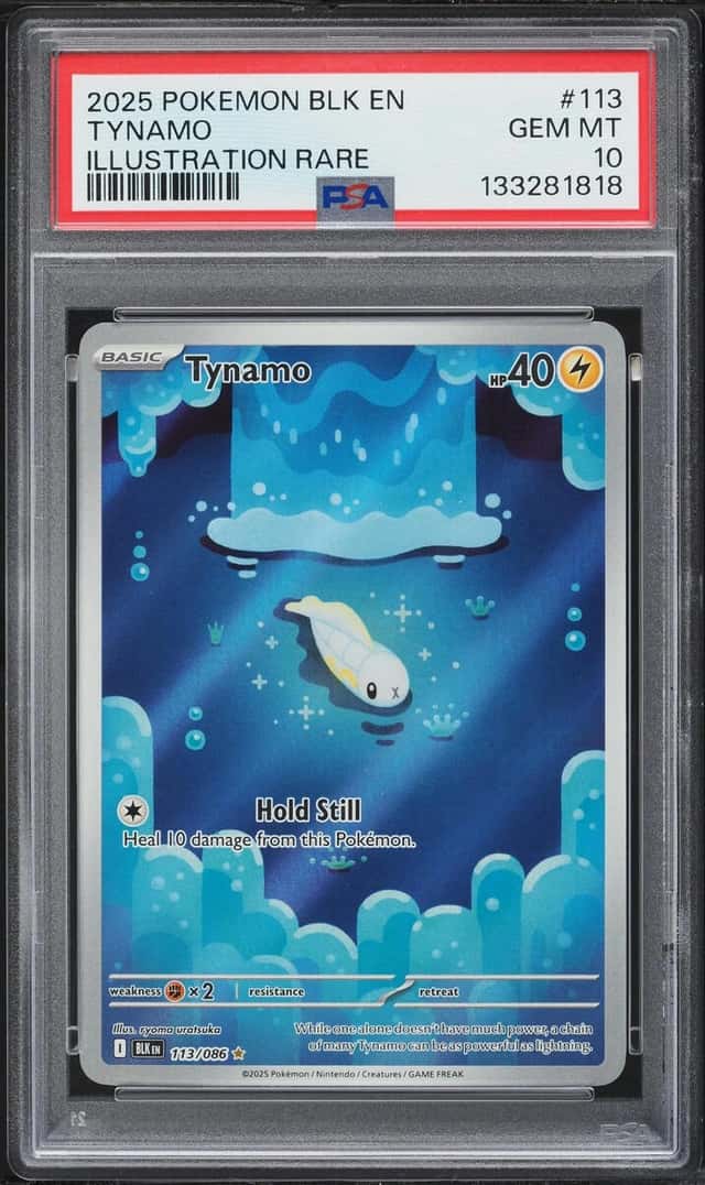 Tynamo