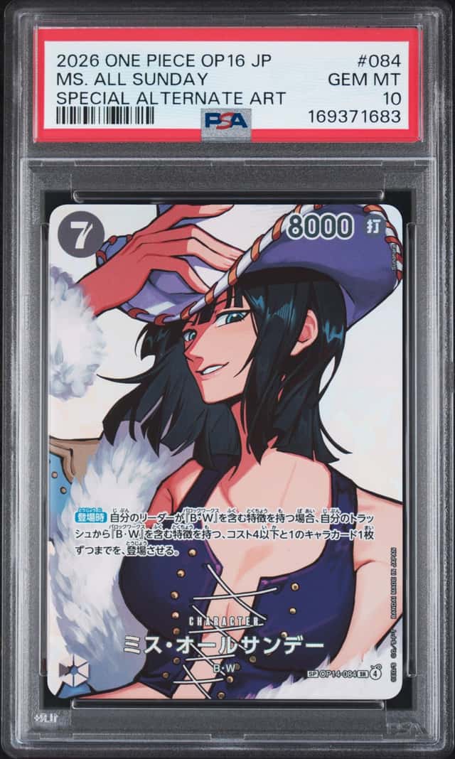 Ms. All Sunday SP