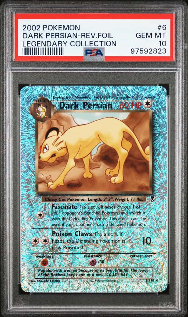Dark Persian