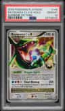 Rayquaza C Lv X