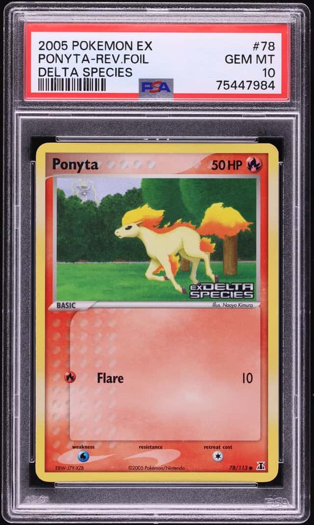 Ponyta