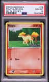 Ponyta
