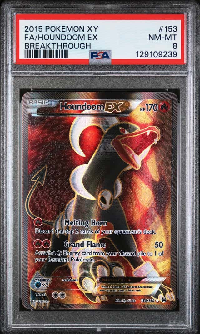 Houndoom EX