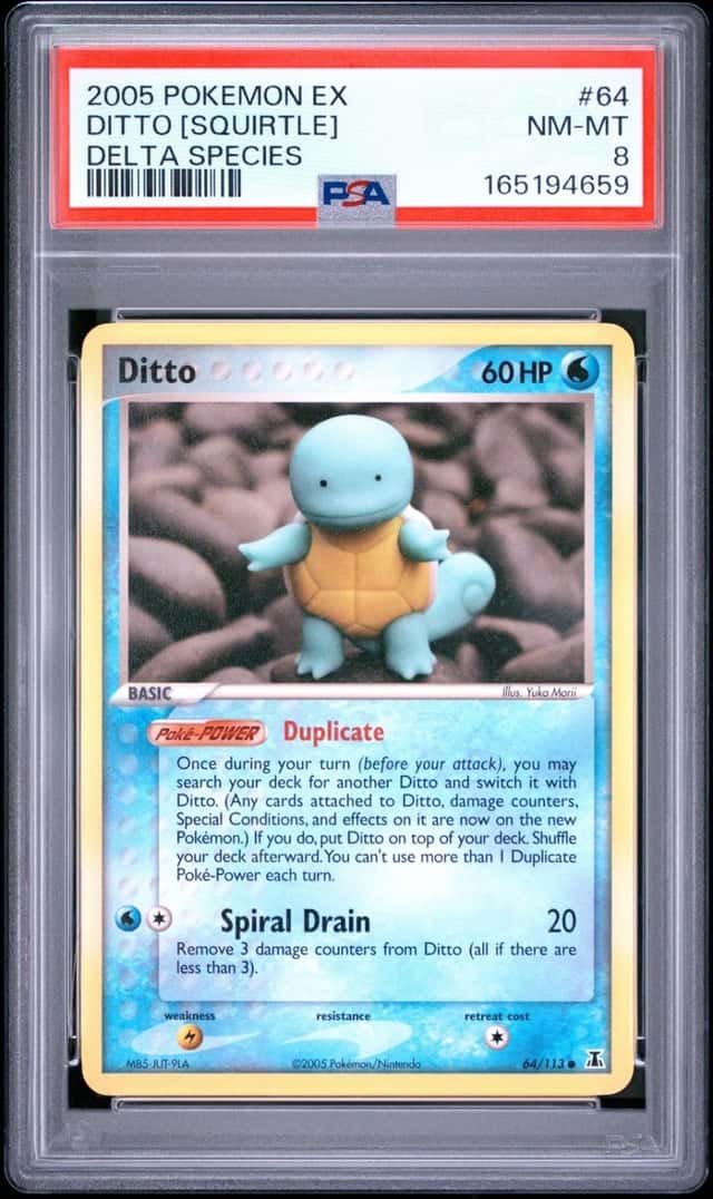 Ditto [Squirtle]