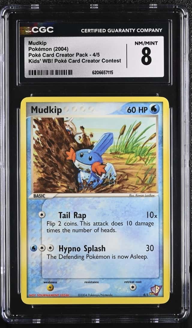 Mudkip