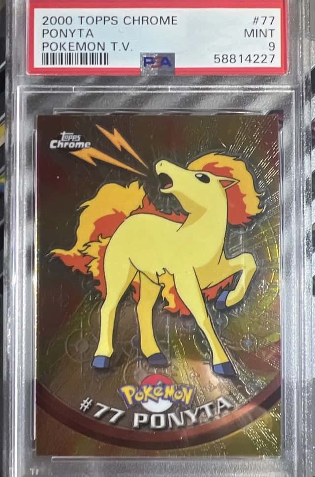 Ponyta