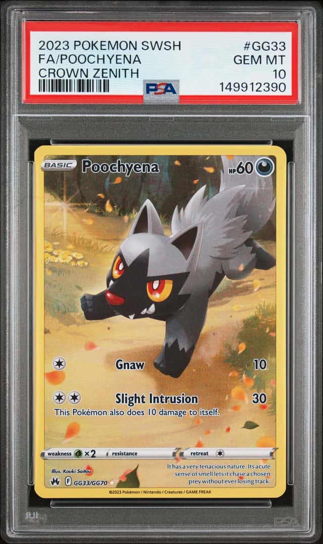 Poochyena