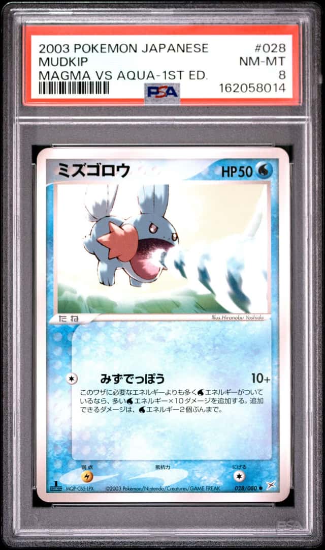 Mudkip