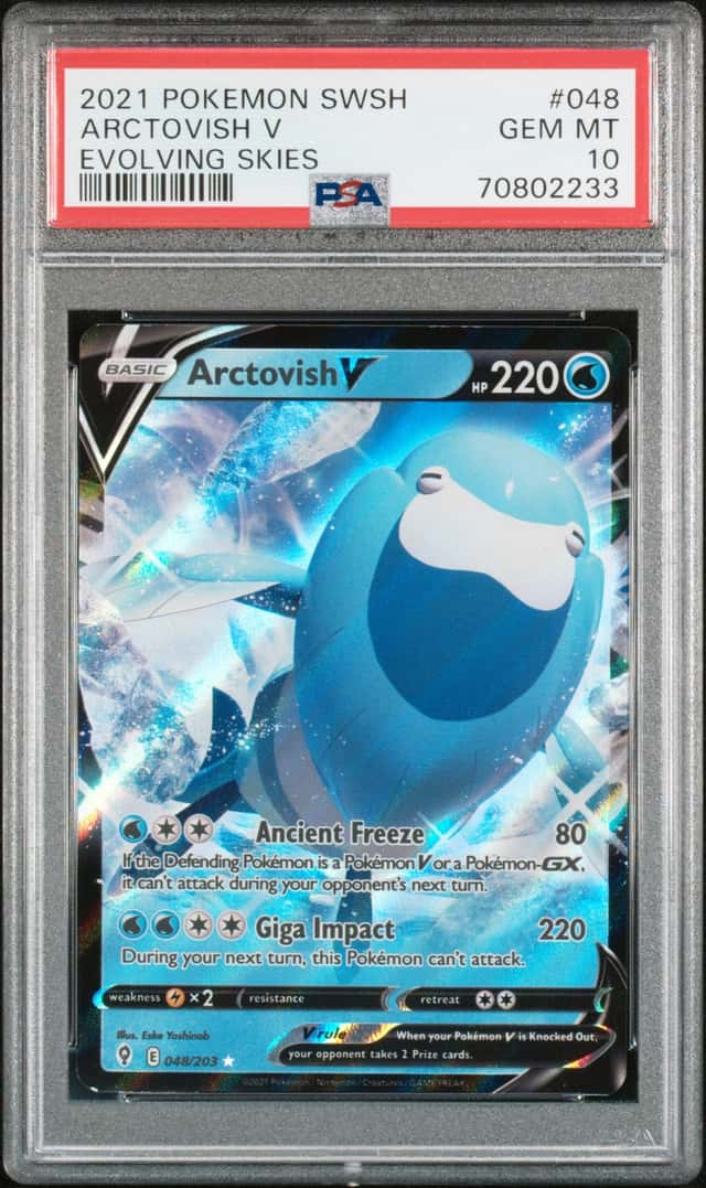 Arctovish V