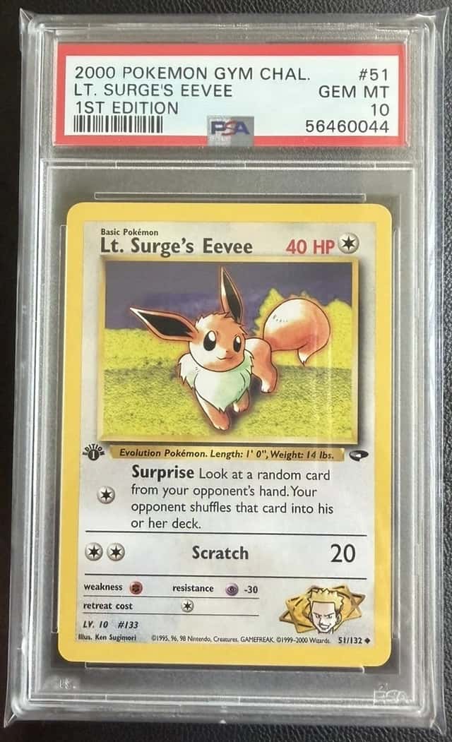 Lt. Surge's Eevee