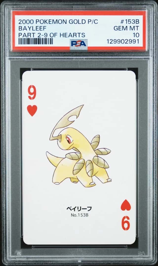 Bayleef
