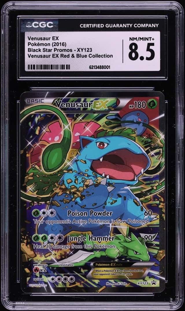 Venusaur EX