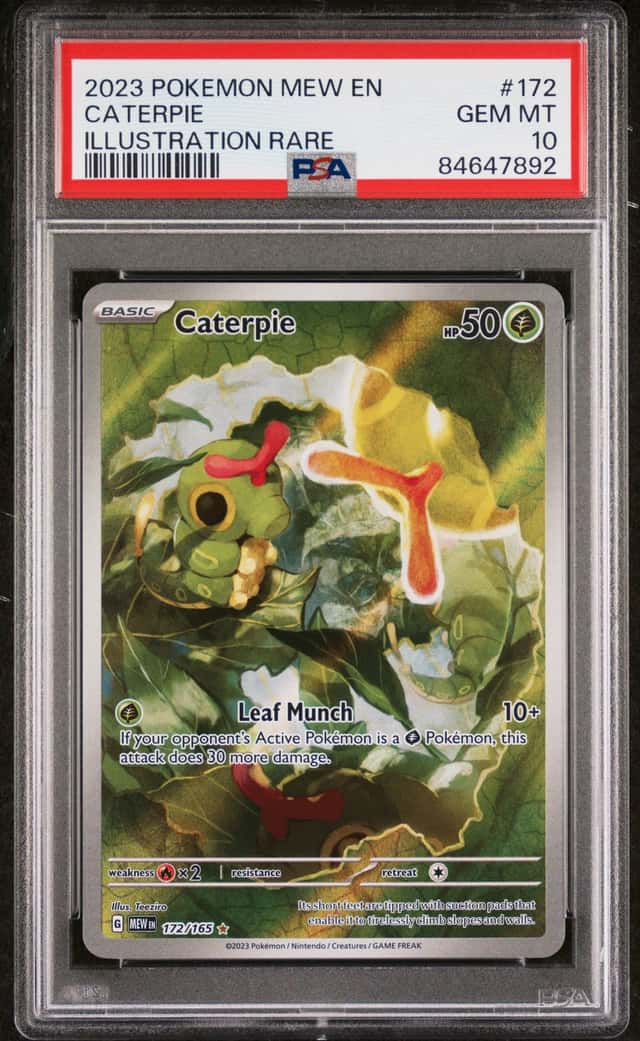 Caterpie