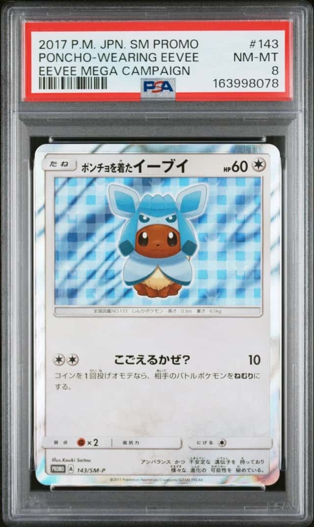 Poncho-Wearing Eevee