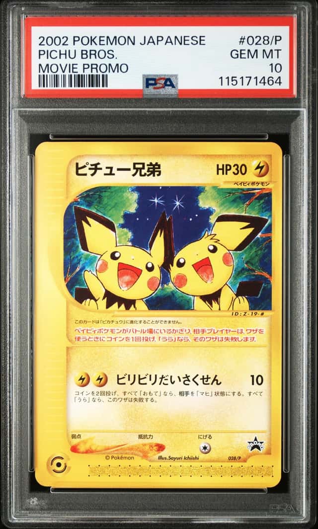Pichu Bros