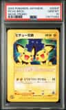 Pichu Bros