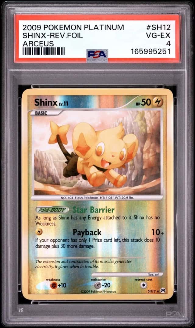 Shinx