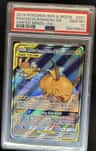 Raichu & Alolan Raichu Gx