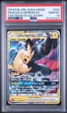 Pikachu & Zekrom Gx