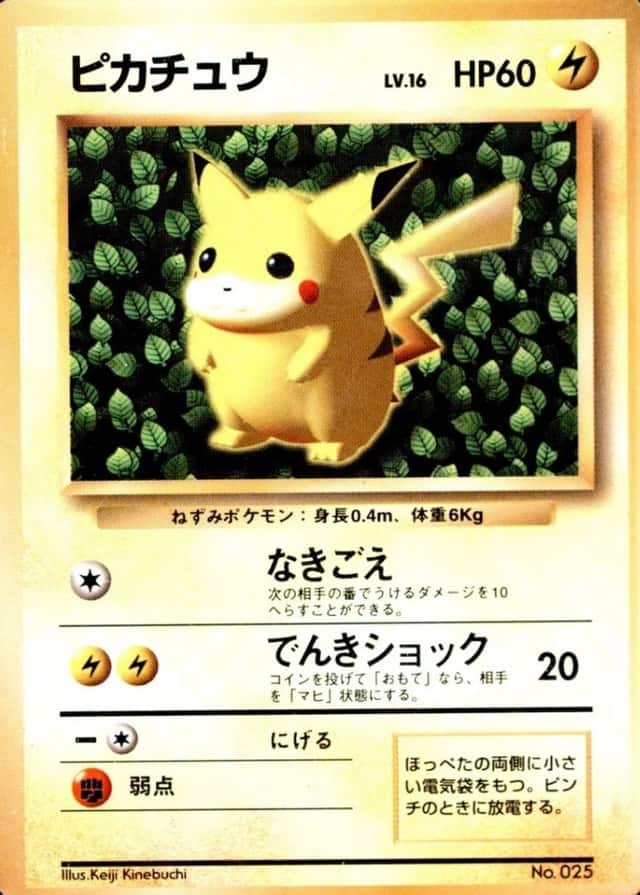 Non-Holo · Non-Glossy · Easily How Play To Understand