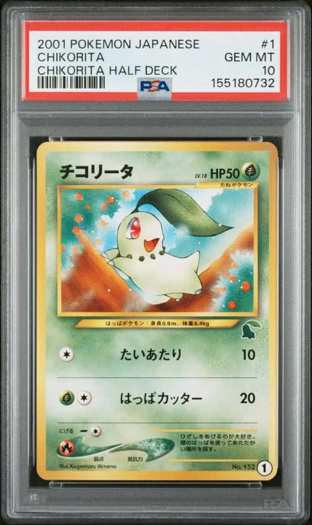 Chikorita