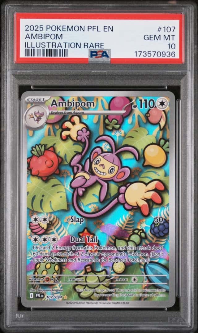 Ambipom
