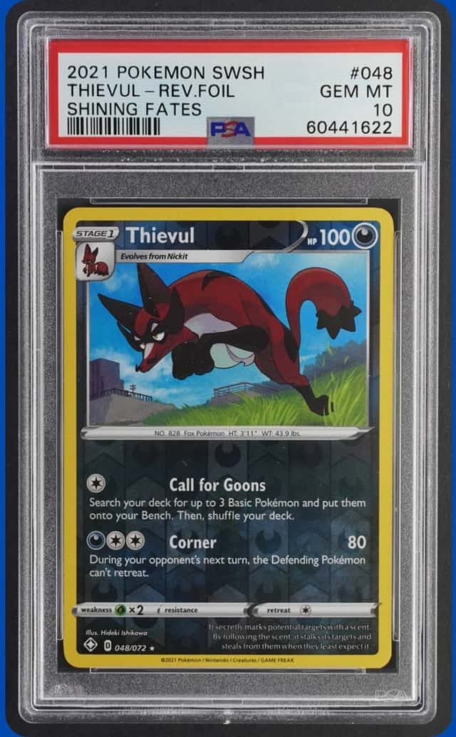 Thievul