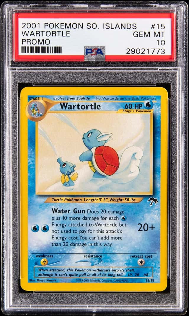 Wartortle