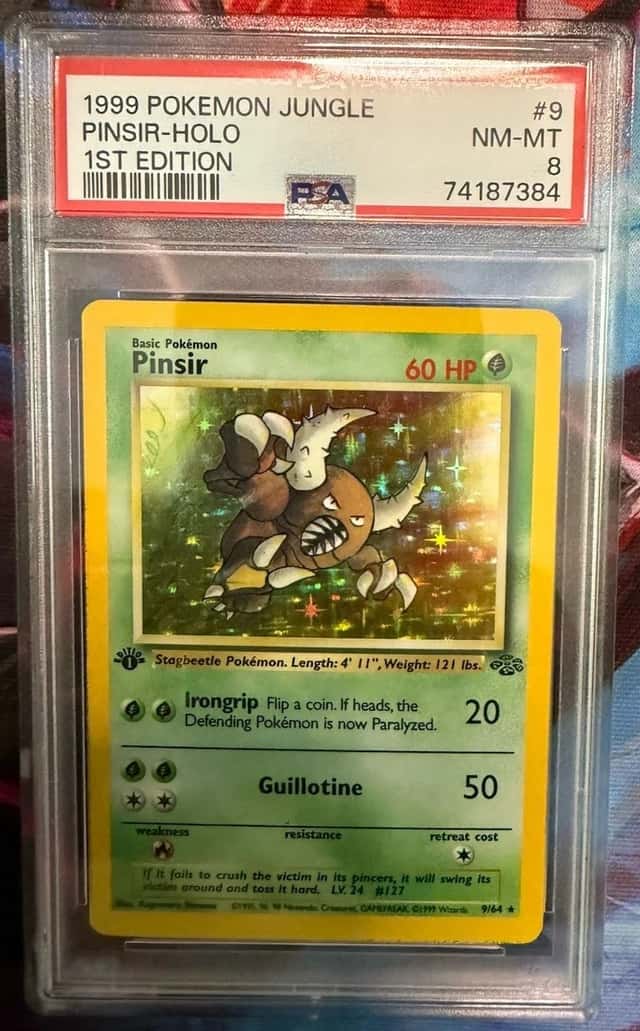 Pinsir