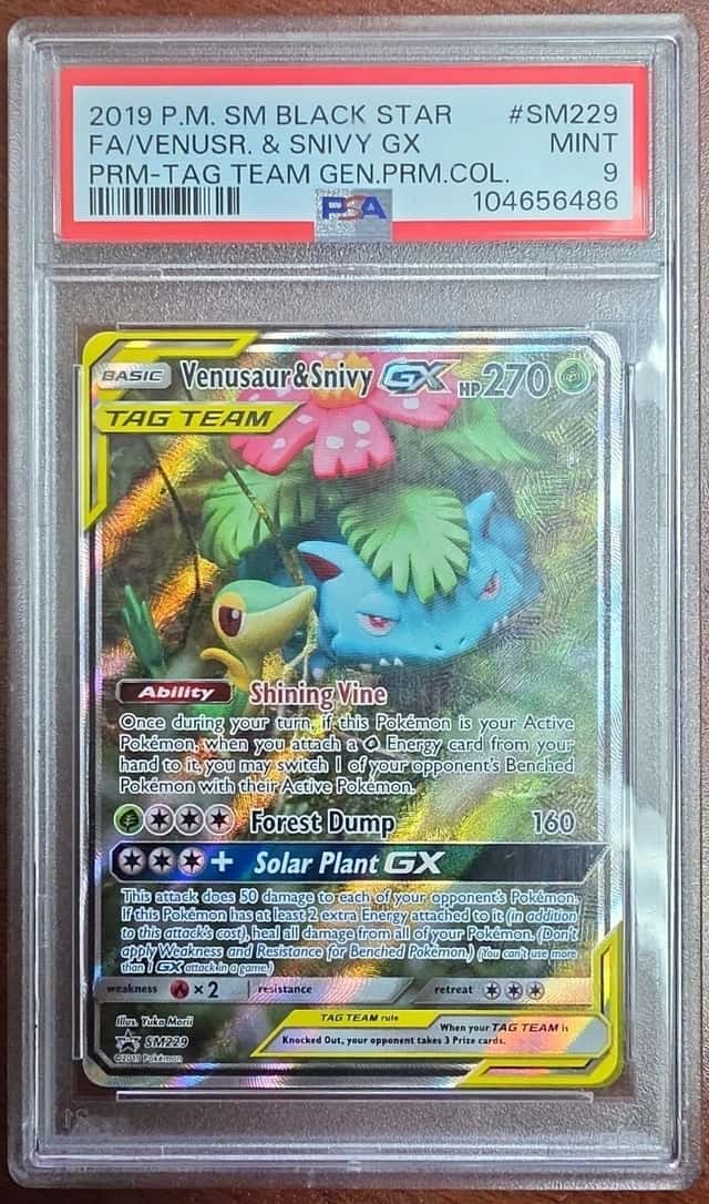 Venusaur & Snivy GX