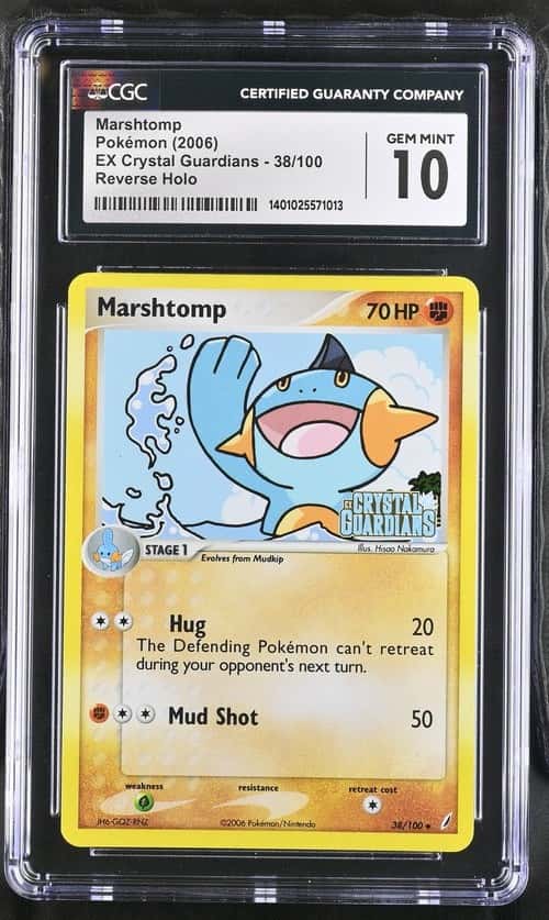 Marshtomp