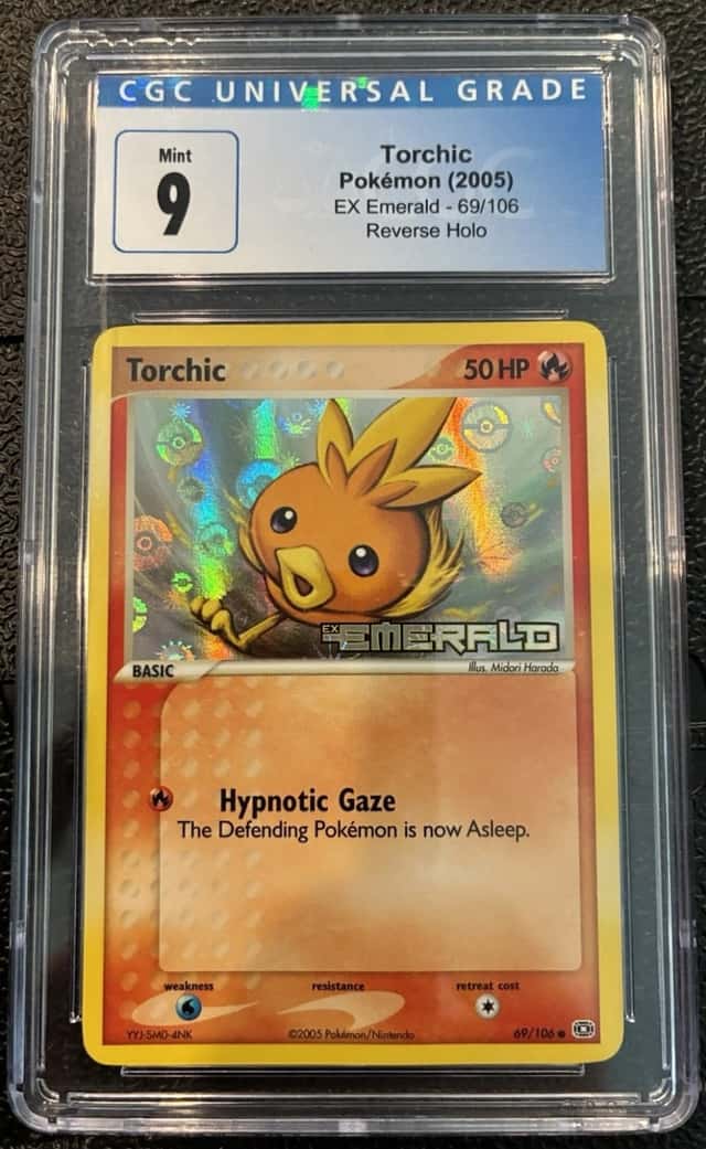 Torchic