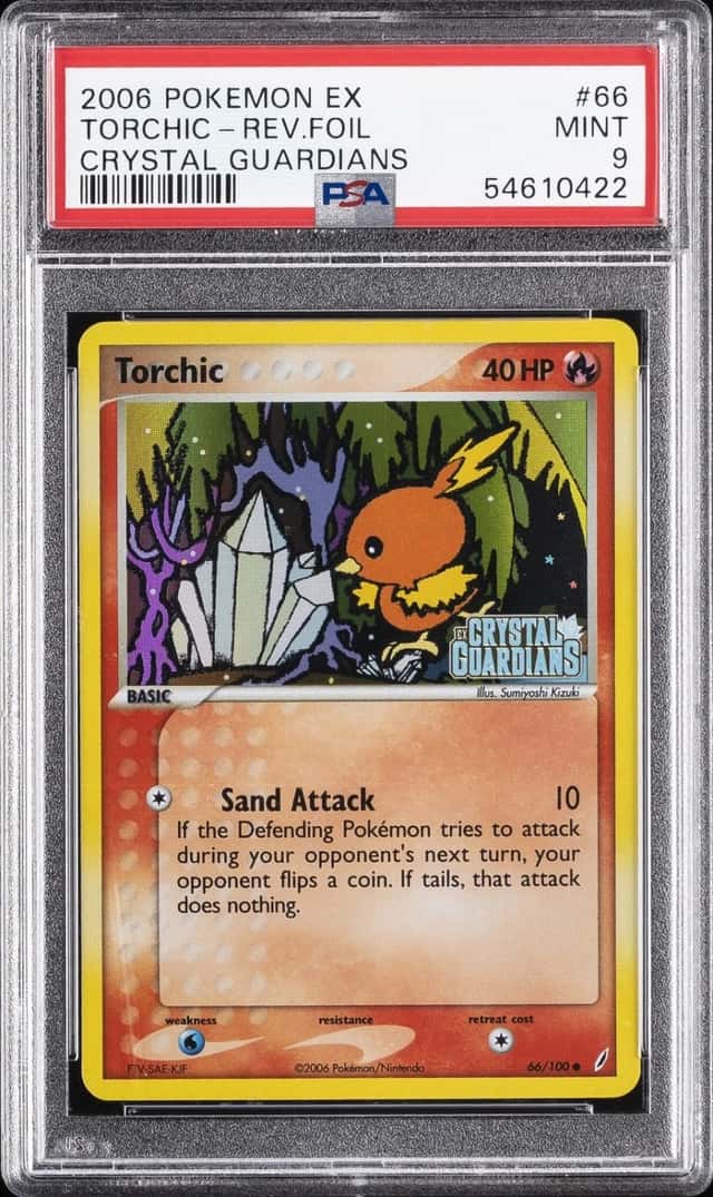 Torchic