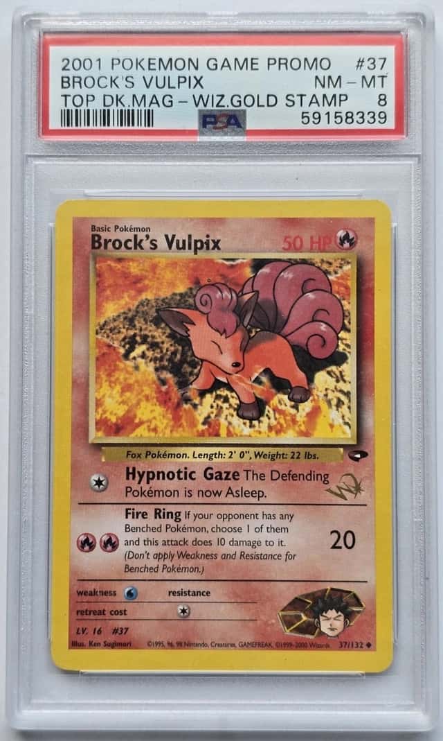 Brock's Vulpix