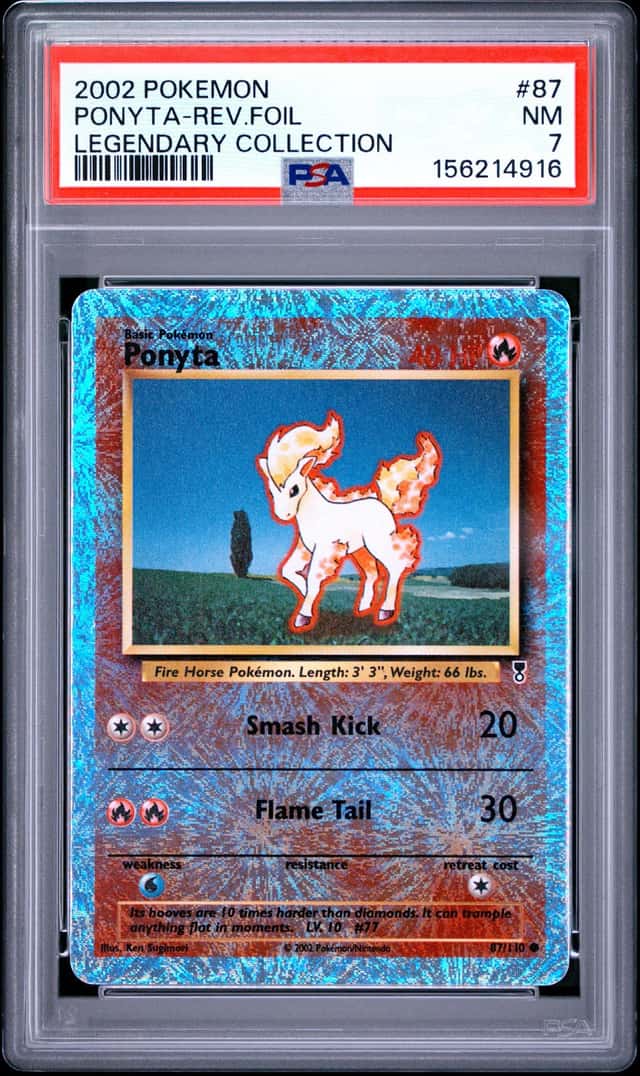 Ponyta