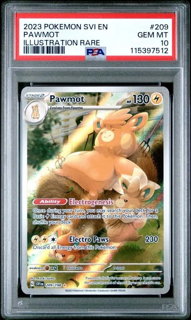 Pawmot