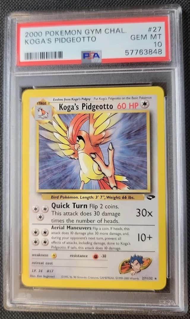 Koga's Pidgeotto