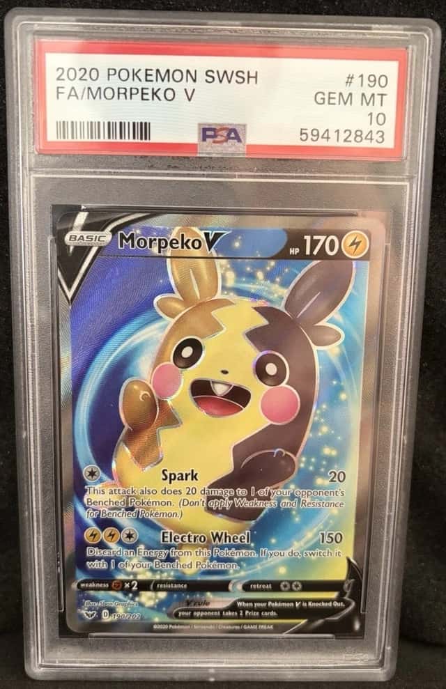 Morpeko V
