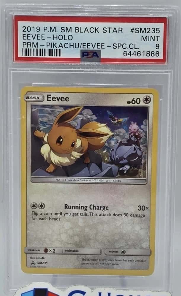 Eevee