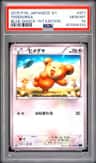 Teddiursa