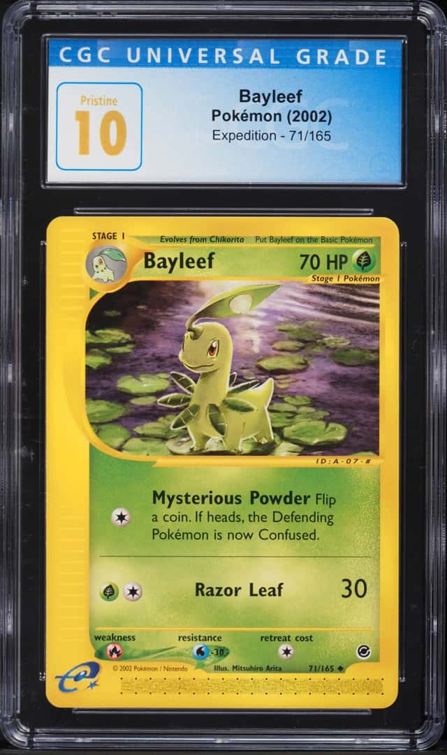 Bayleef