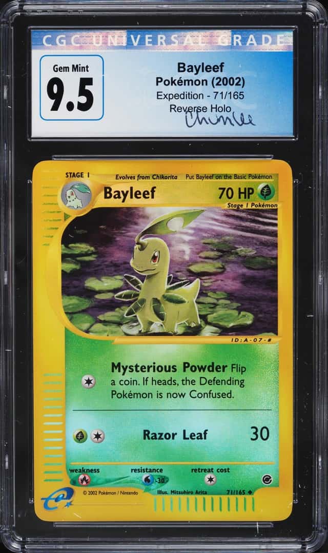 Bayleef
