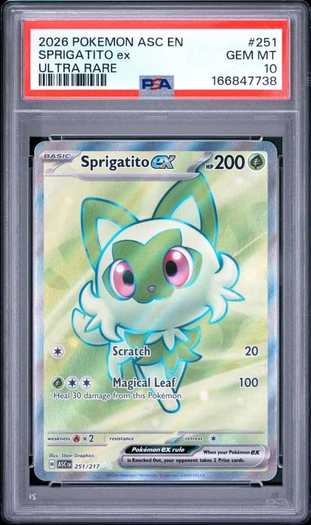 SPRIGATITO ex