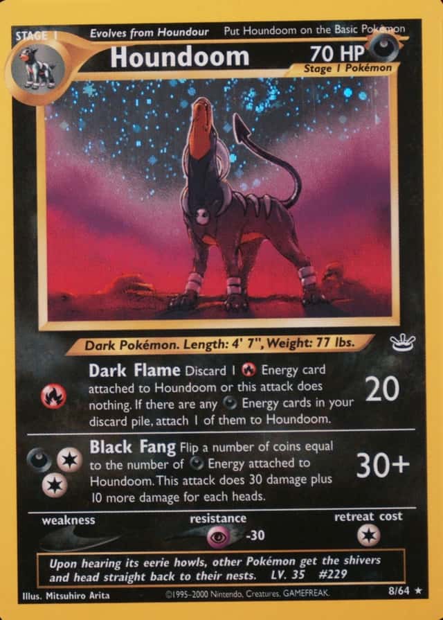 Holo