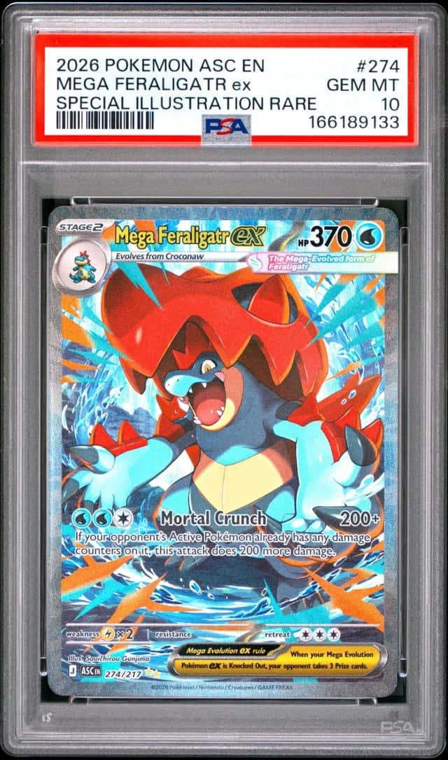 MEGA FERALIGATR ex