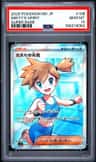 Misty'S Spirit