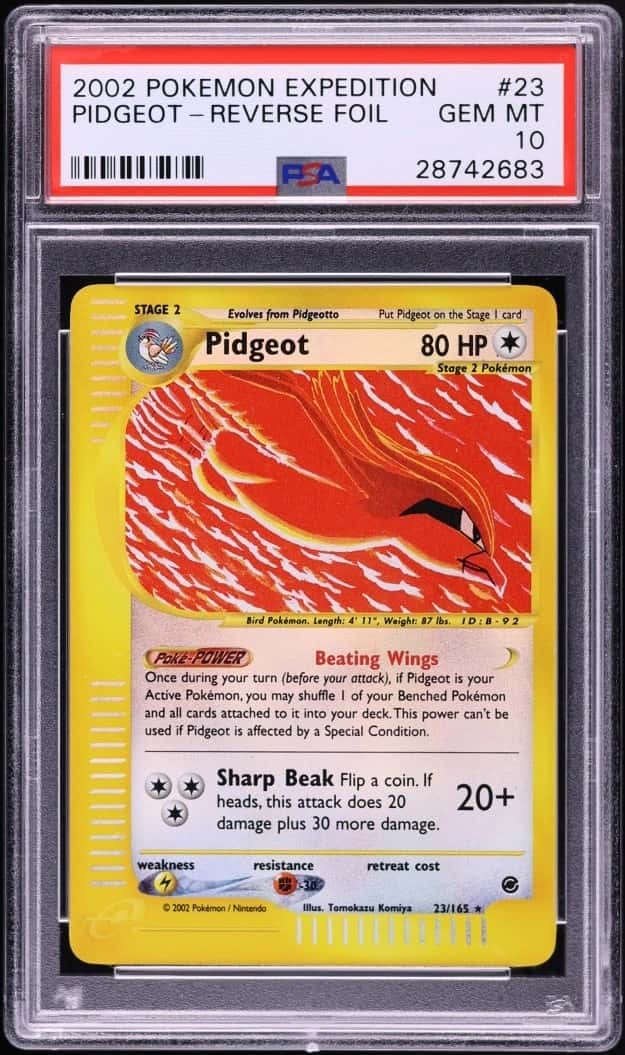 Pidgeot