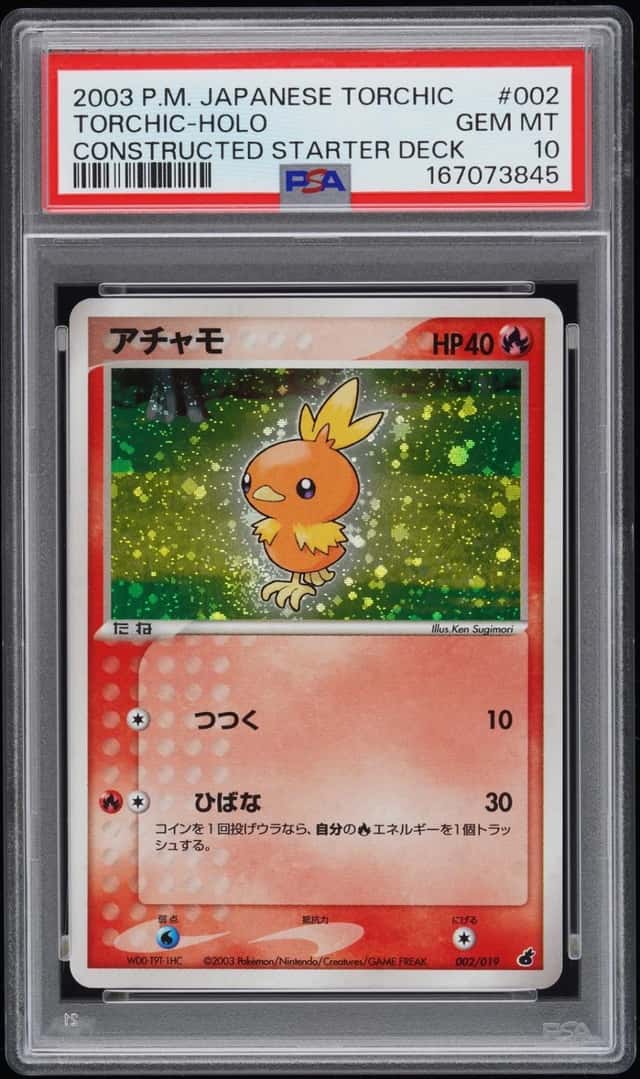 Torchic