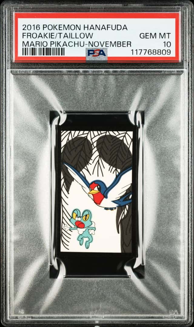 Froakie/Taillow